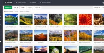YetiShare – File Hosting Script