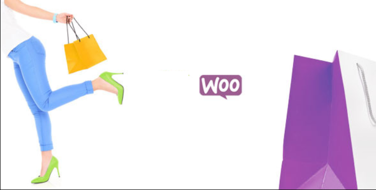 WooCommerce Checkout Add-Ons 2.5.1