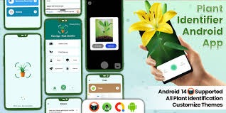 Bloomify - Plant Identifier, Plant App - Plant Identifier, Plant Identification, Plant Care
