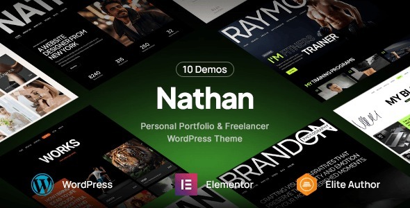 Nathan – Personal Resume CV Portfolio WordPress Theme 1.0.2