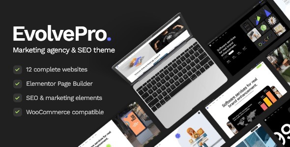 EvolvePro – Marketing Agency & SEO WordPress Theme 1.1